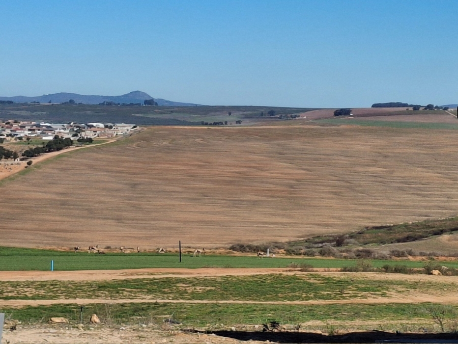 3 Bedroom Property for Sale in Mount Royal Golf Estate Western Cape
